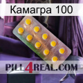 Камагра 100 new11